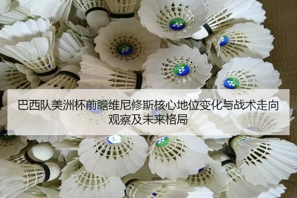 巴西队美洲杯前瞻维尼修斯核心地位变化与战术走向观察及未来格局