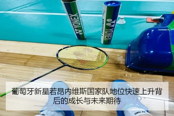 葡萄牙新星若昂内维斯国家队地位快速上升背后的成长与未来期待