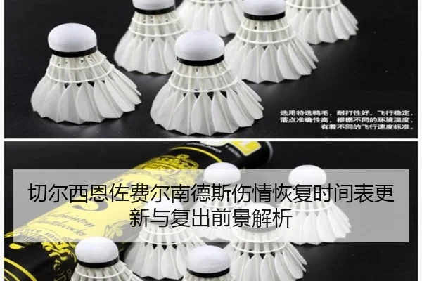 切尔西恩佐费尔南德斯伤情恢复时间表更新与复出前景解析